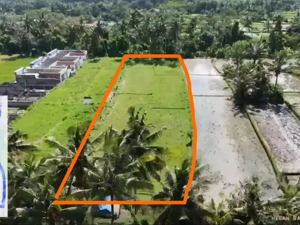 Prime 3.130 sqm of Leasehold Land with Stunning Rice Field Views Ubud