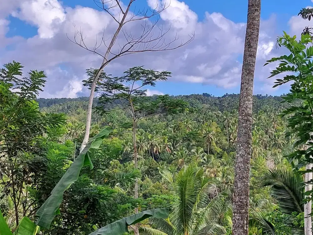 5.850 Sqm of Freehold Land for Sale with Beautiful Mountain View