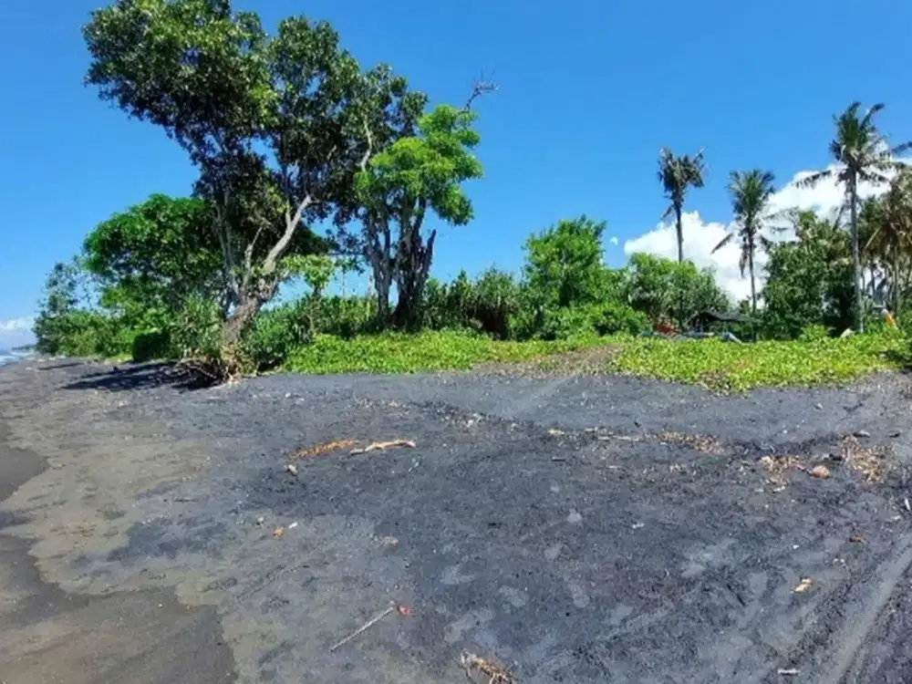 2.000 Sqm of Freehold Land for Sale with Views of Stunning Beach