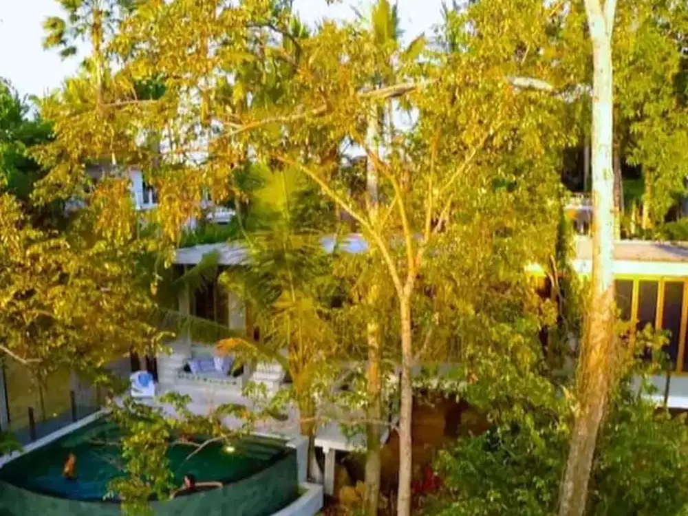 3 Properti Leasehold di Jungle River Ubud