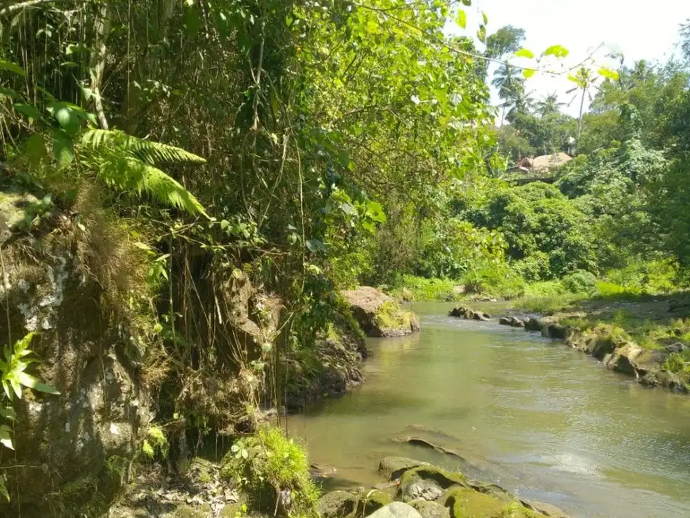 Freehold - 1.500 sqm Riverfront land for sale in south Ubud