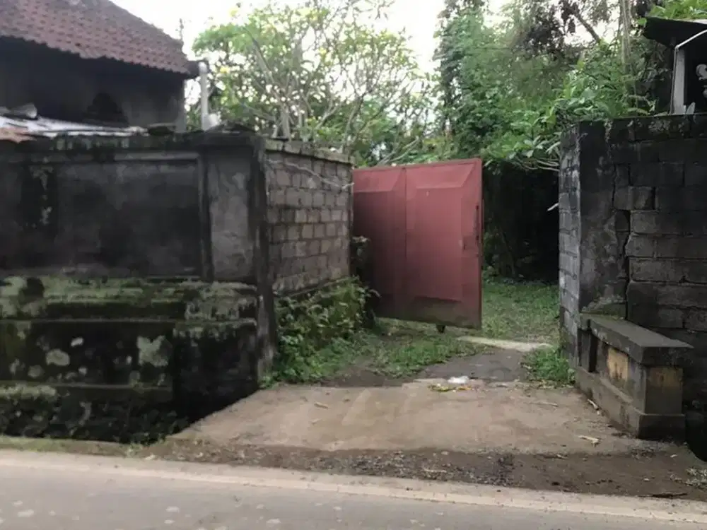 RARE 2,450 Sqm Freehold Land for Sale With Views Of Rice Field