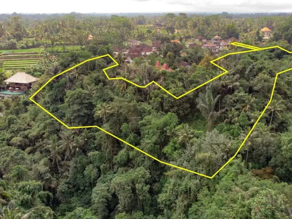 12,619 sq m of Freehold Land with Stunning River and Valley Views Located 7 Minutes from Ubud Palace