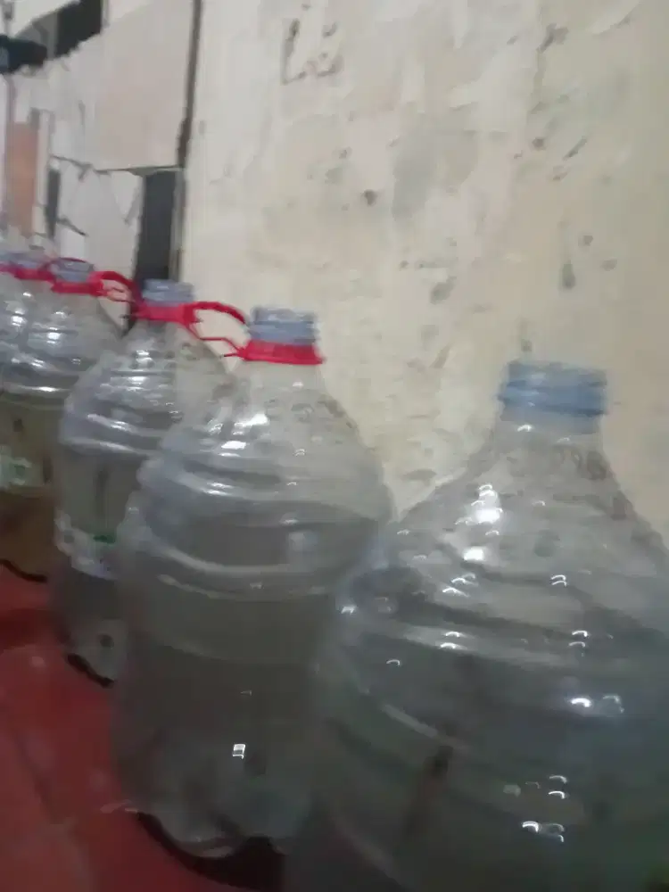 Jual bibit lele dan medianya