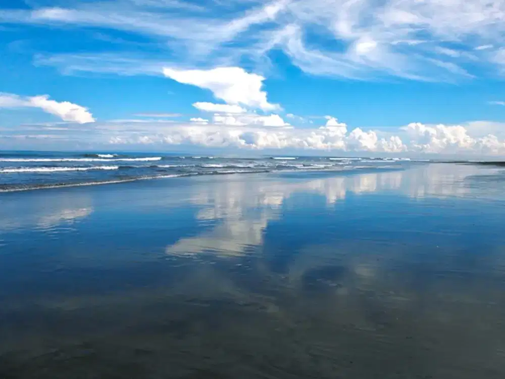 Amazing 37,915 Sqm Beachfront Freehold Land In Jembrana Negara