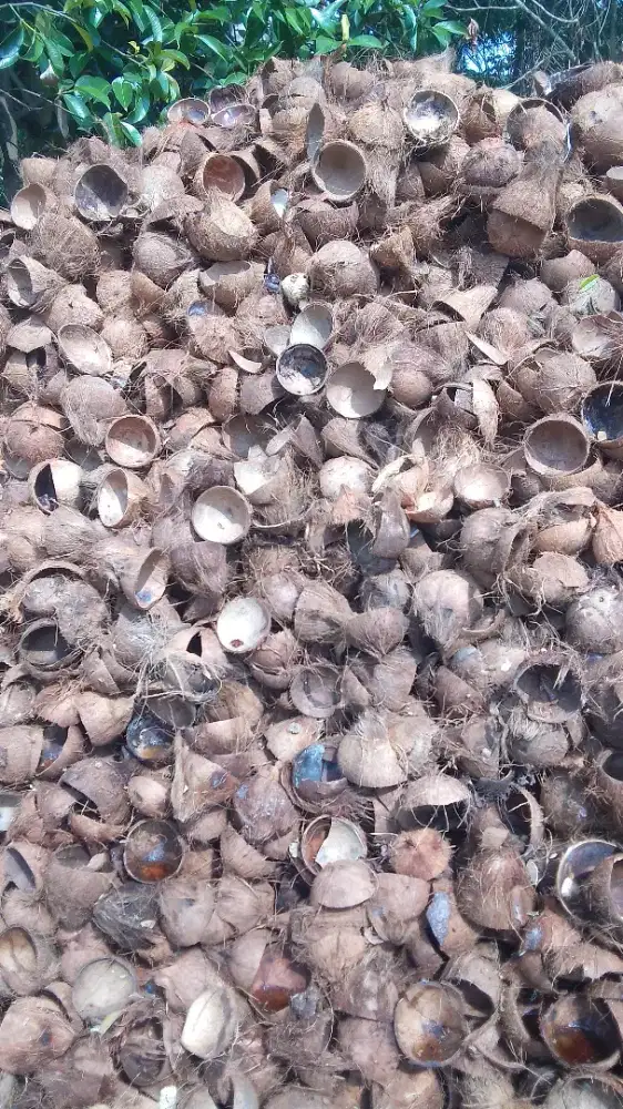 Di cari 3-4 orang yg srius kerja