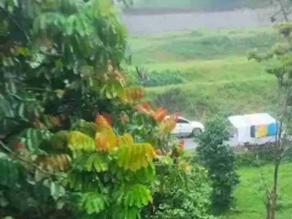 Dijual Kebun Bonus Villa di Raya Trawas Mojokerto