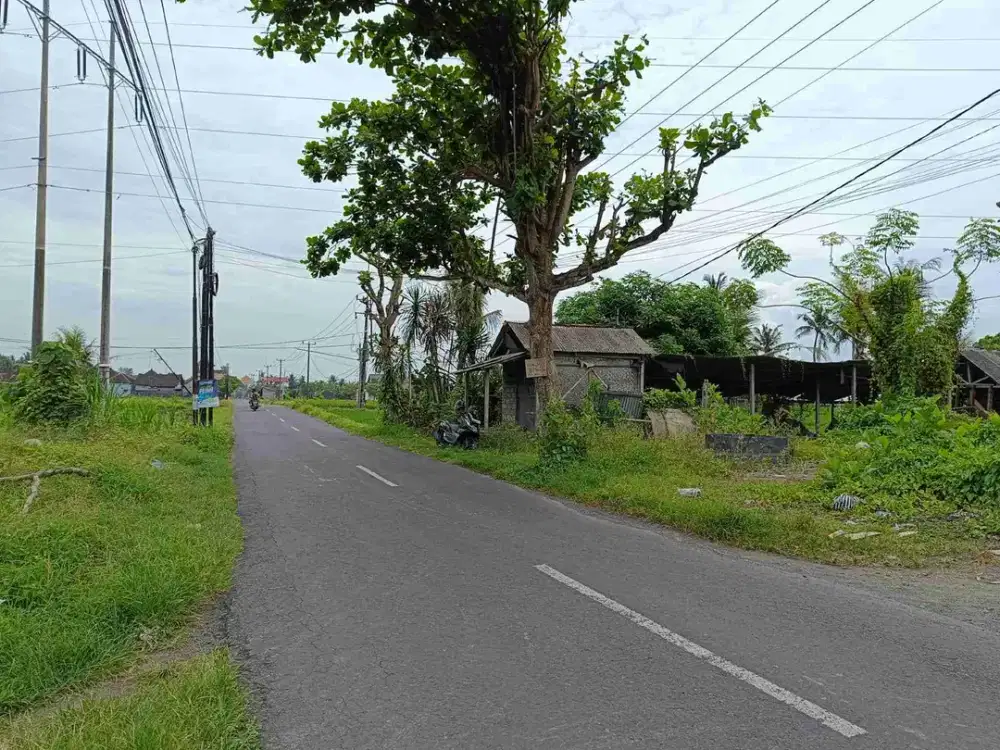 Tanah Strategis Pinggir Jalan Utama Pering Tojan Blahbatuh