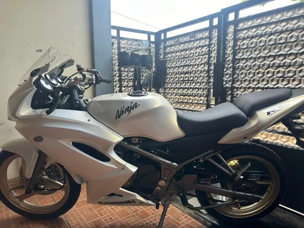 Kawasaki Ninja rr 2013
