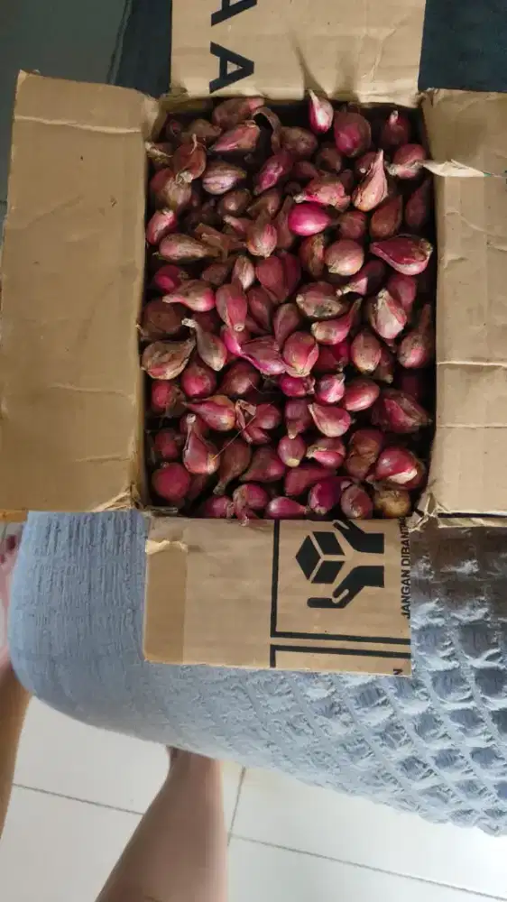 Bawang merah Brebes bisa antar eceran