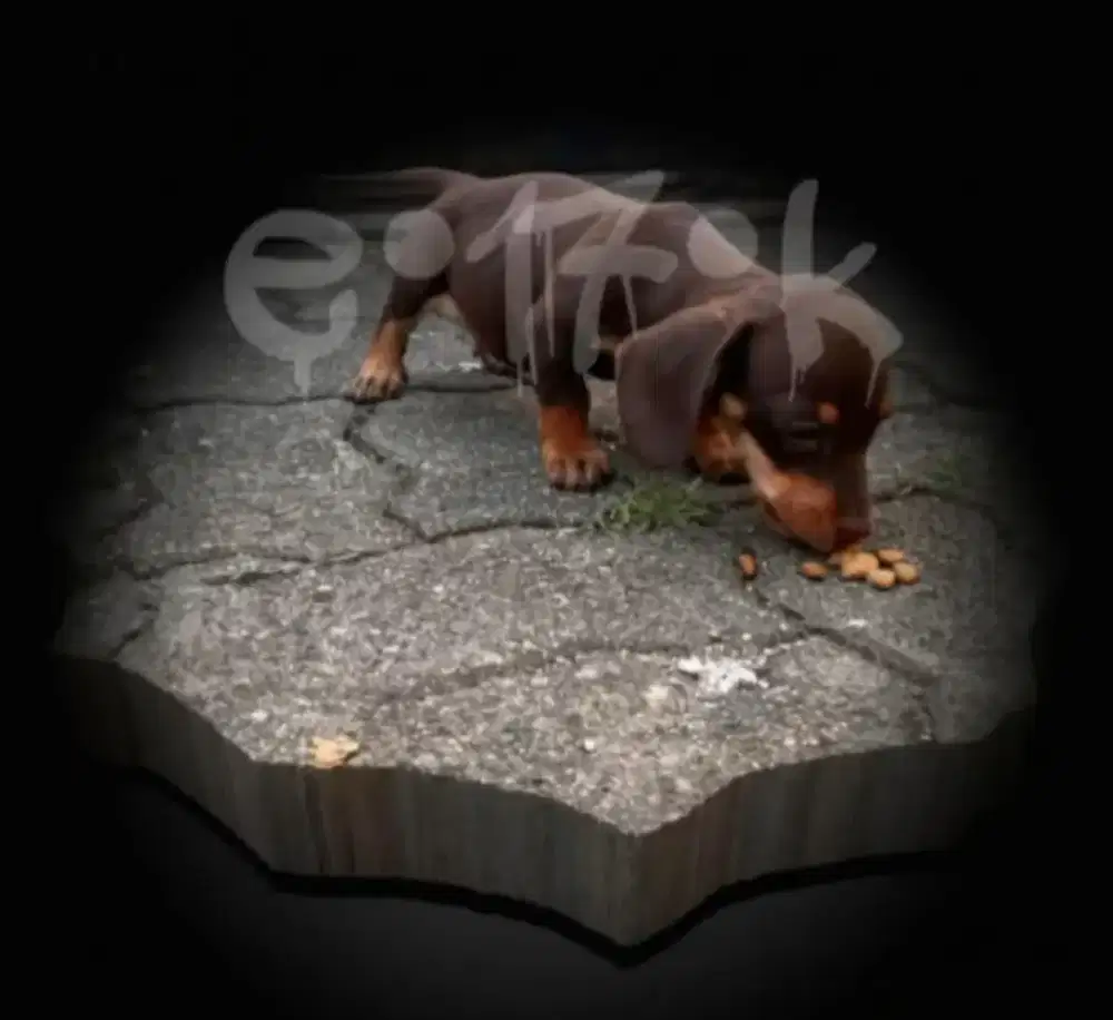 Anak Anjing tekkel lucu gemoy