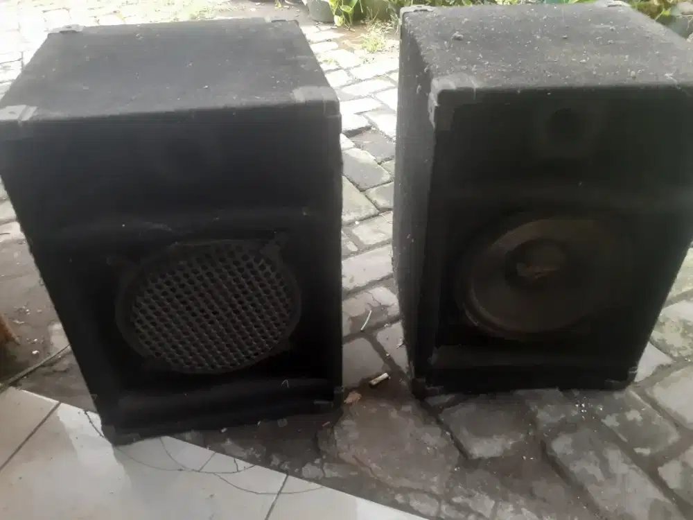 BOX SALON CANNON dan AMPLY