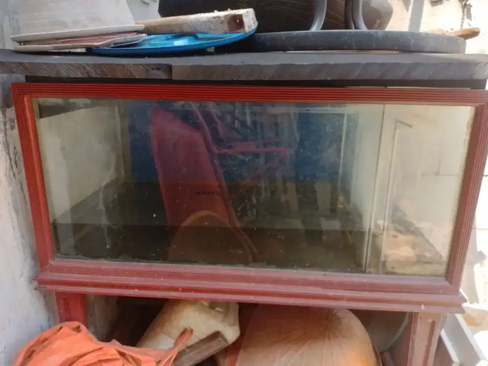 aquarium ukuran 1.2m