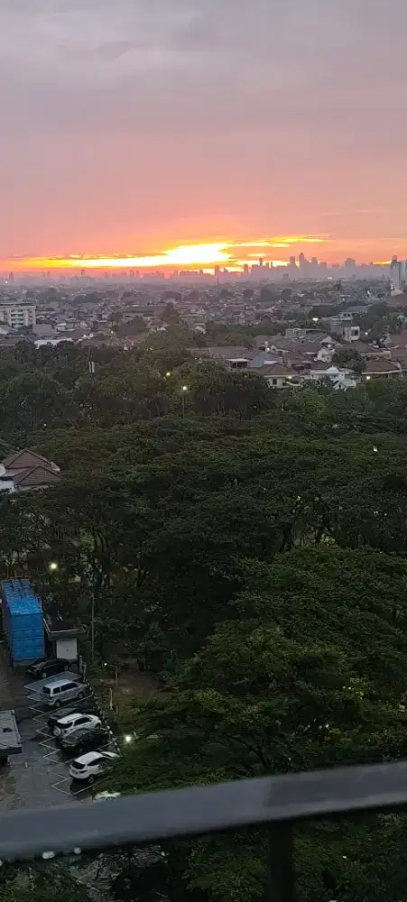 DICARI BABY SITTER SEMENTARA