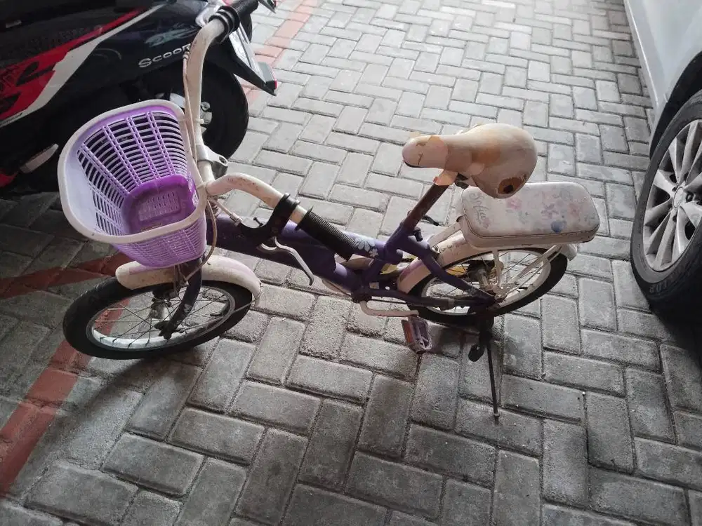 sepeda anak anak kondisi normal bekas