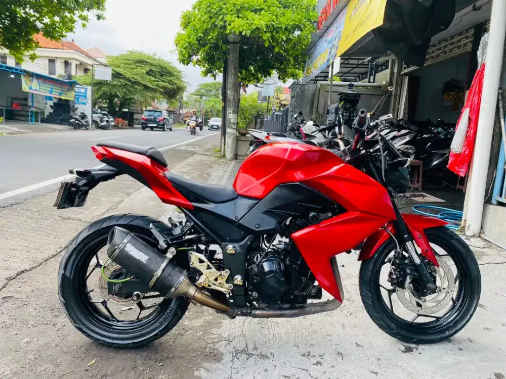 Ninja z 250 2 silinder Deva motor