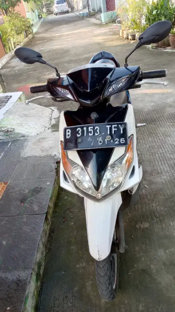 xeon karbu putih