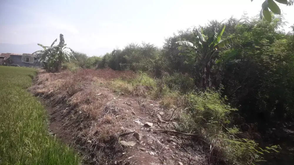 dijual tanah  jalan raya ke GBLA luas 4500 M  + 11500 M