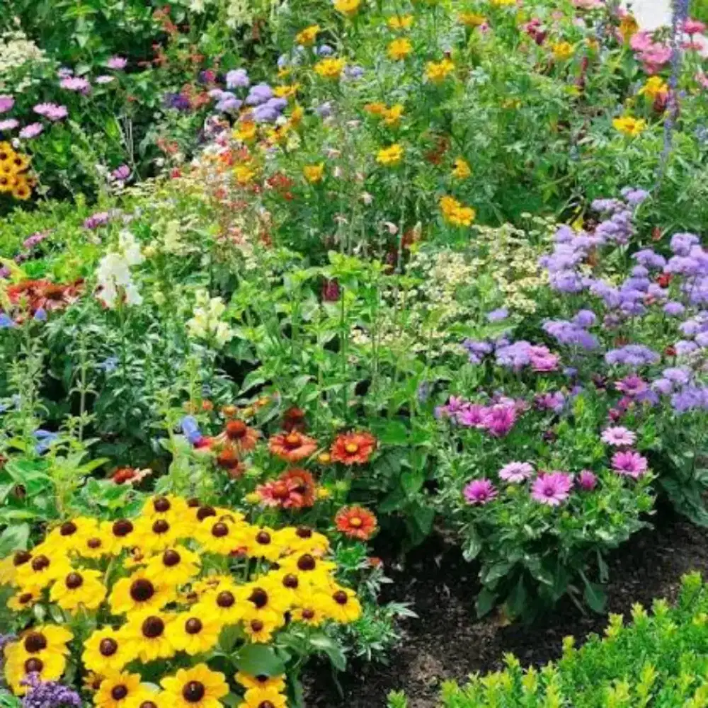 Lowongan kerja tanaman hias