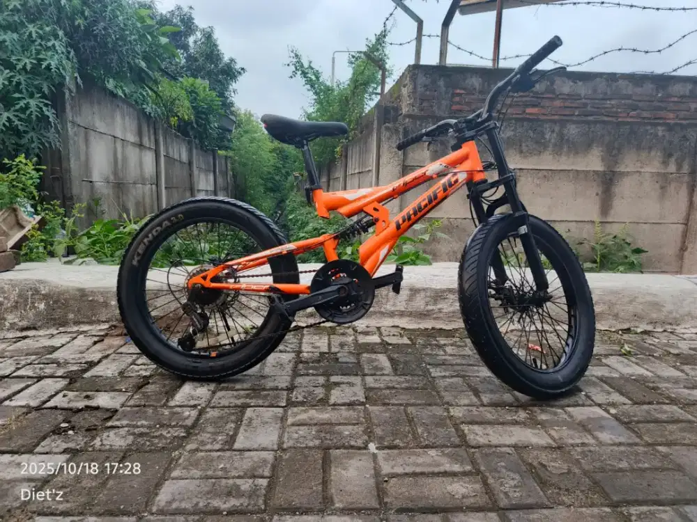 Sepeda BmX 20 pacipic