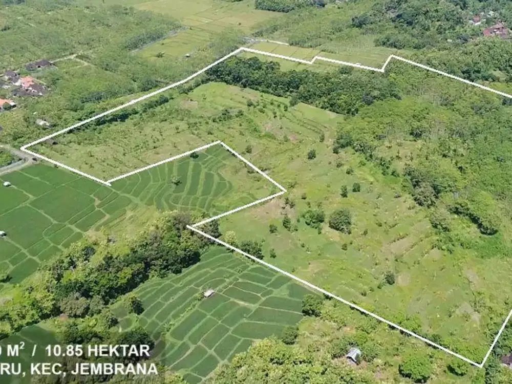 Dijual tanah 10 hektar 85 are di Jembrana - Aspek Perumahan