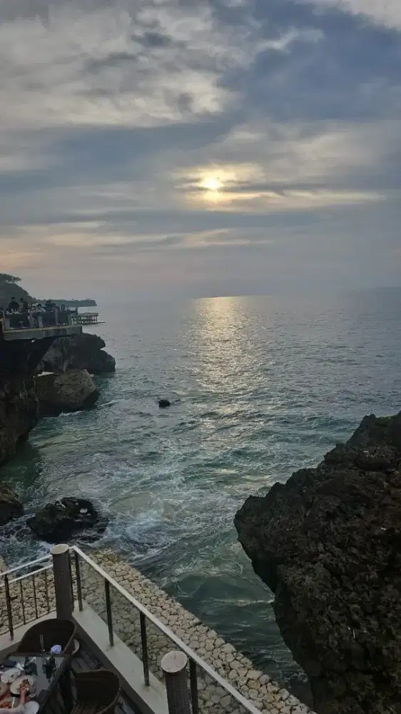 Pet sitter (pengurus anjing)