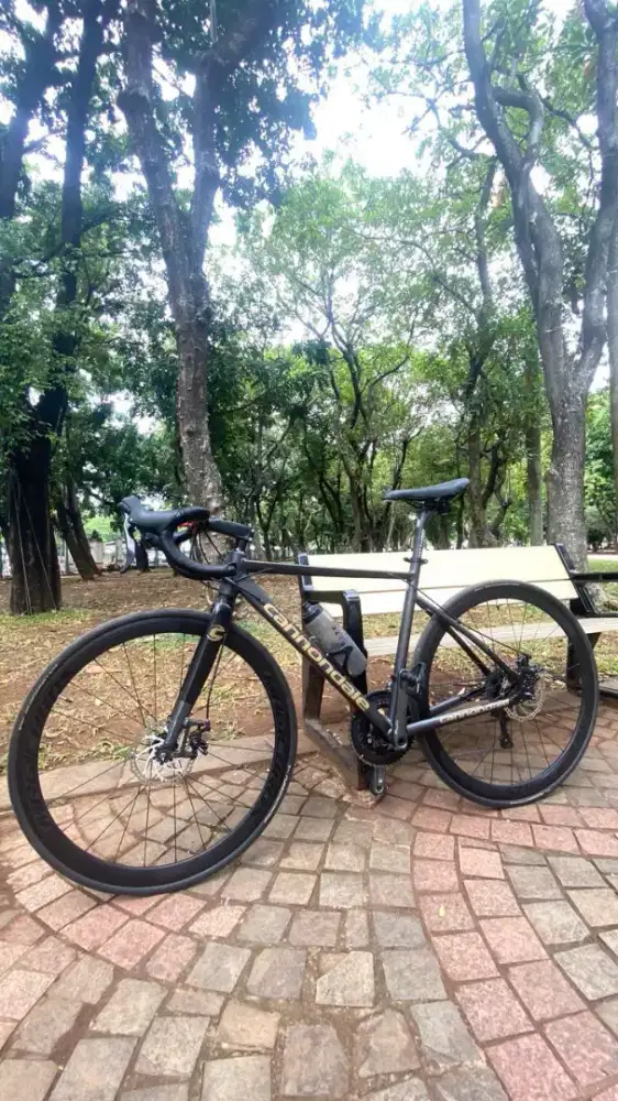 Roadbike element curved lt 8sp