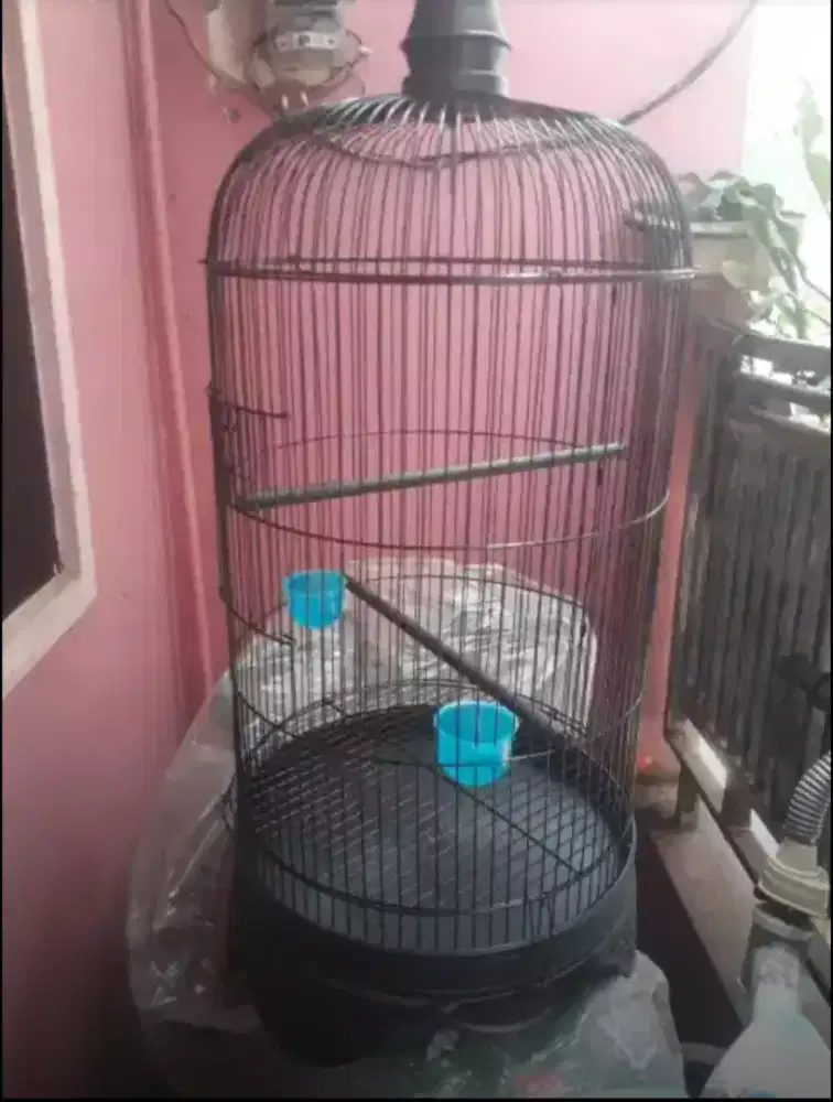 kandang lovebird baru