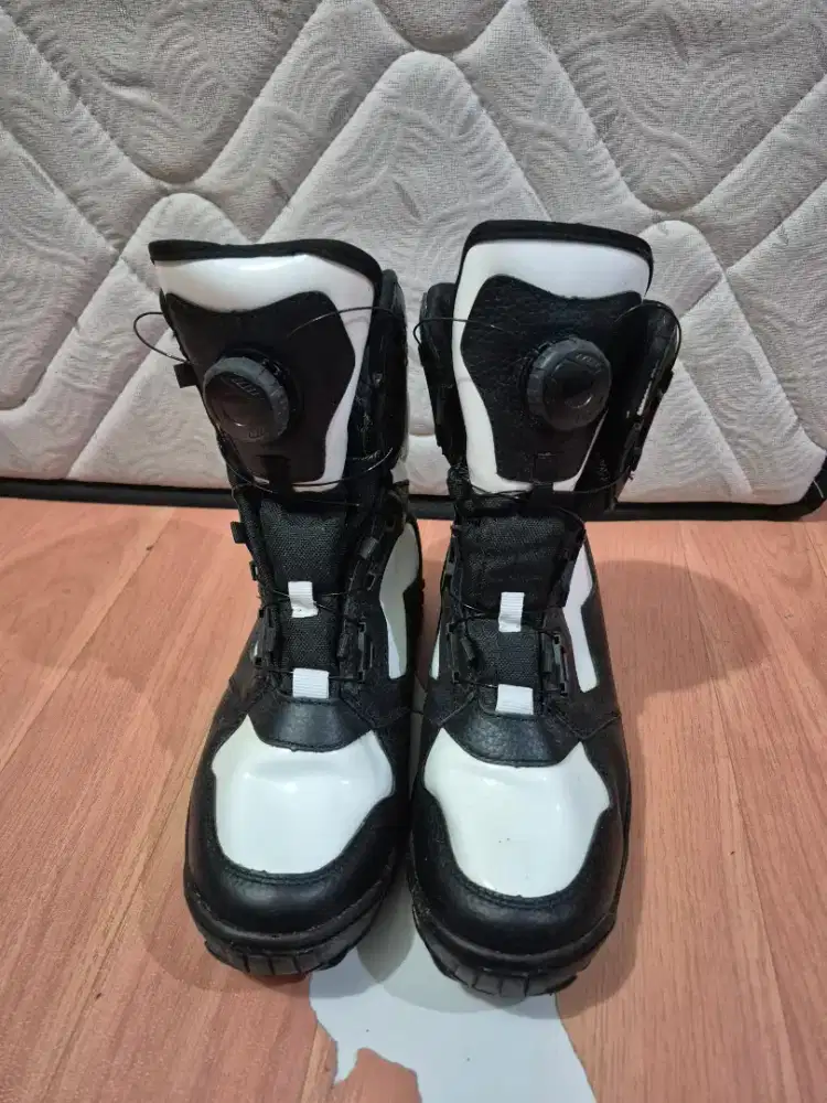 sepatu kelinci, hitam puti provost