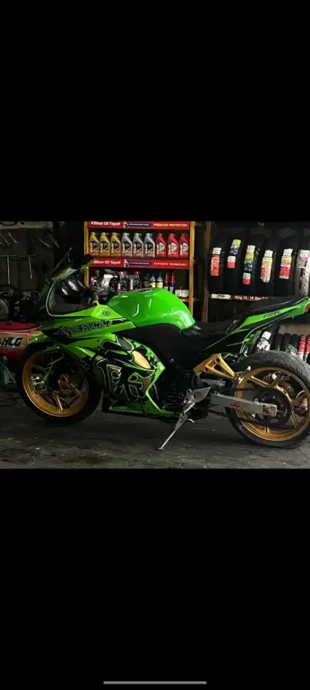 Kawasaki ninja 250R