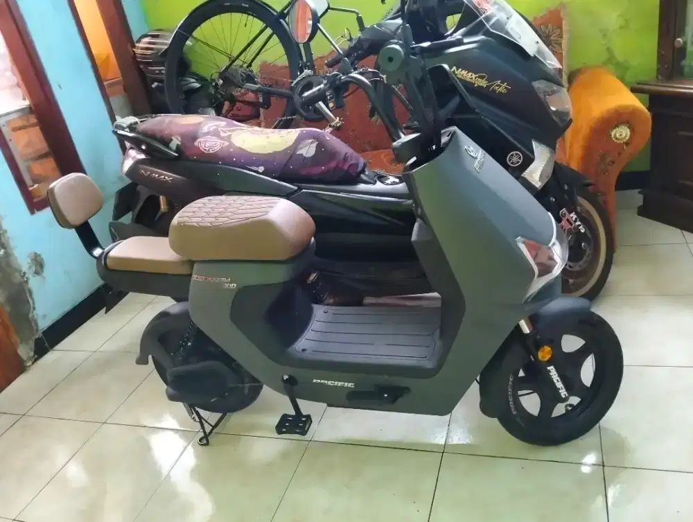 PACIFIC ZEKROM 300 low km