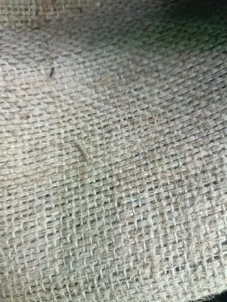 Goni Bekas Kacang tanah 50kg sedikit kotor