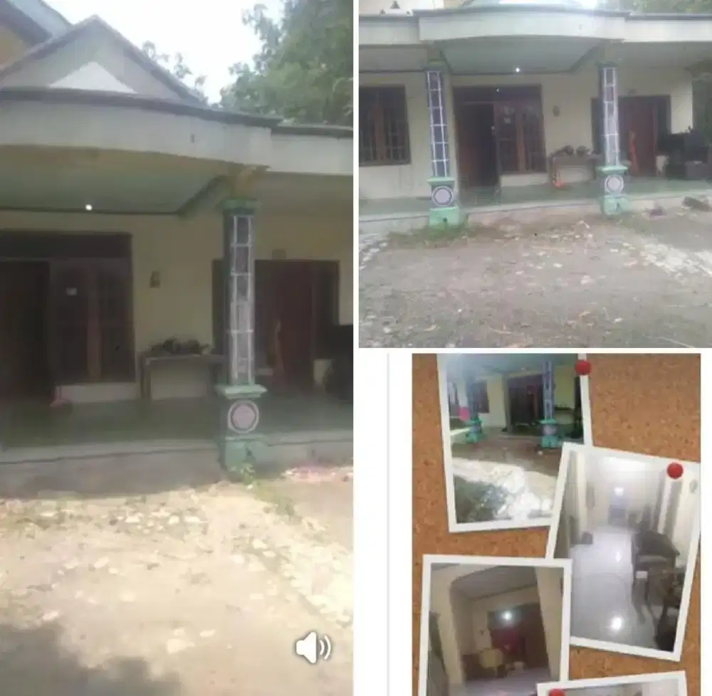 Jual rumah kampung lokasi sambi Boyolali lt 295m hrg 250jt nego