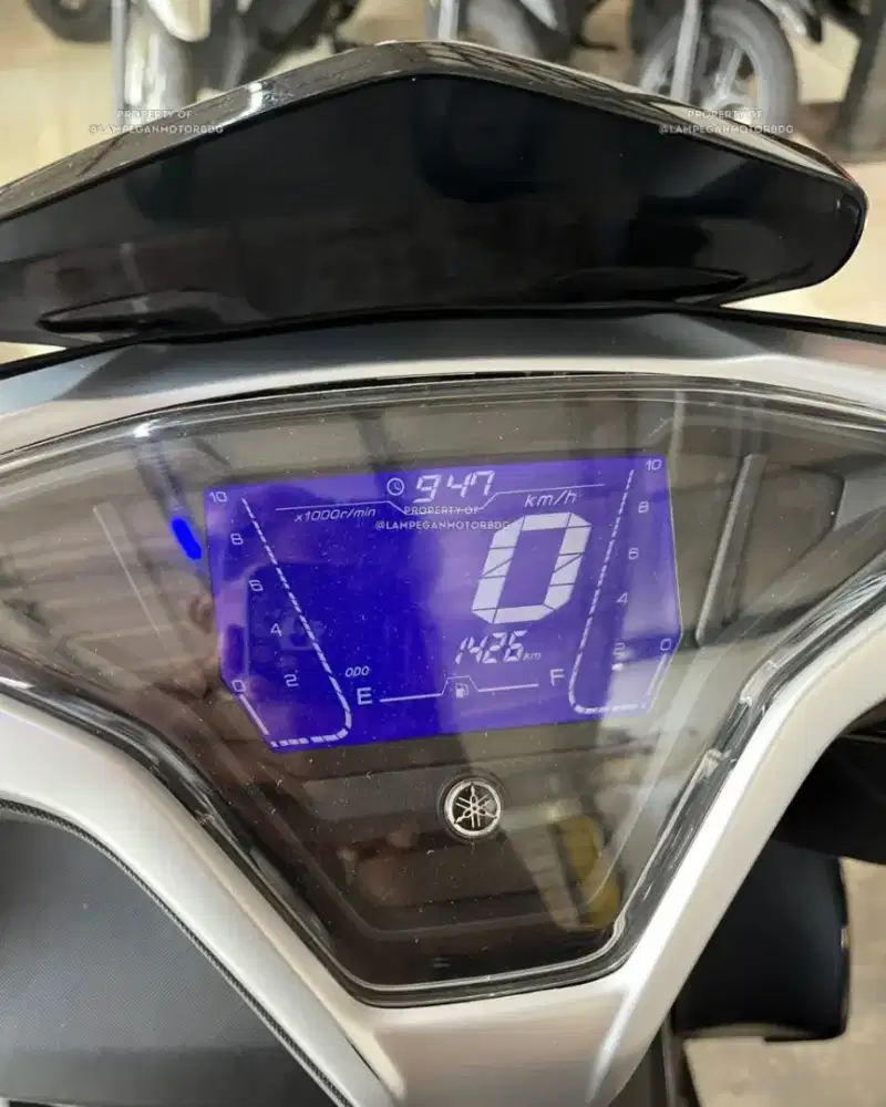 Kawasaki New Ninja RR 150 2014