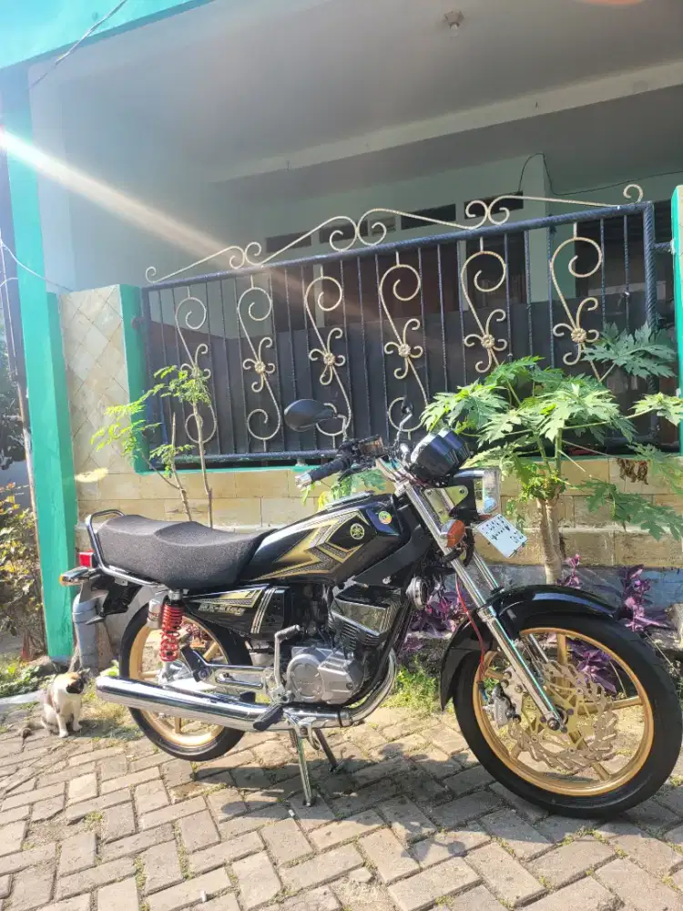 Rx King Cobra Upgrade