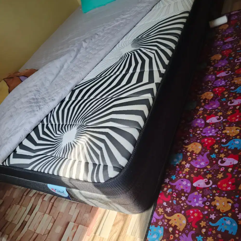 Kasur springbed central sensopedic