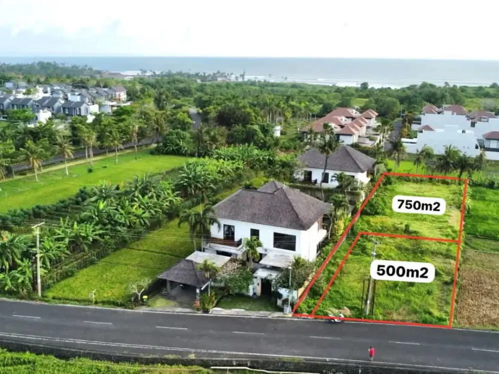 Your Dream Investment in Bali Awaits Rare Premium Coastal Land for Sale – Ciputra Tabanan Area
