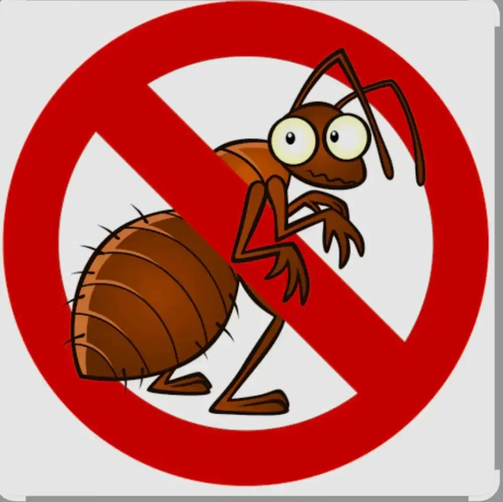 Jasa Anti Rayap Profesional