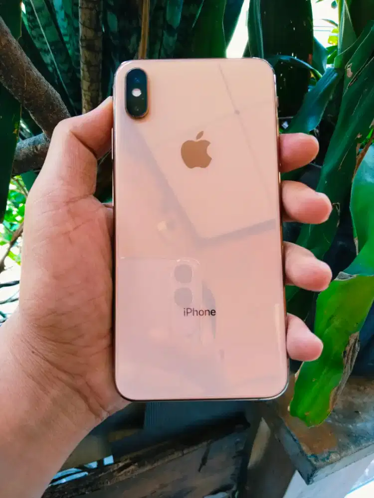 Iphone Xs Max 256GB inter All Operator