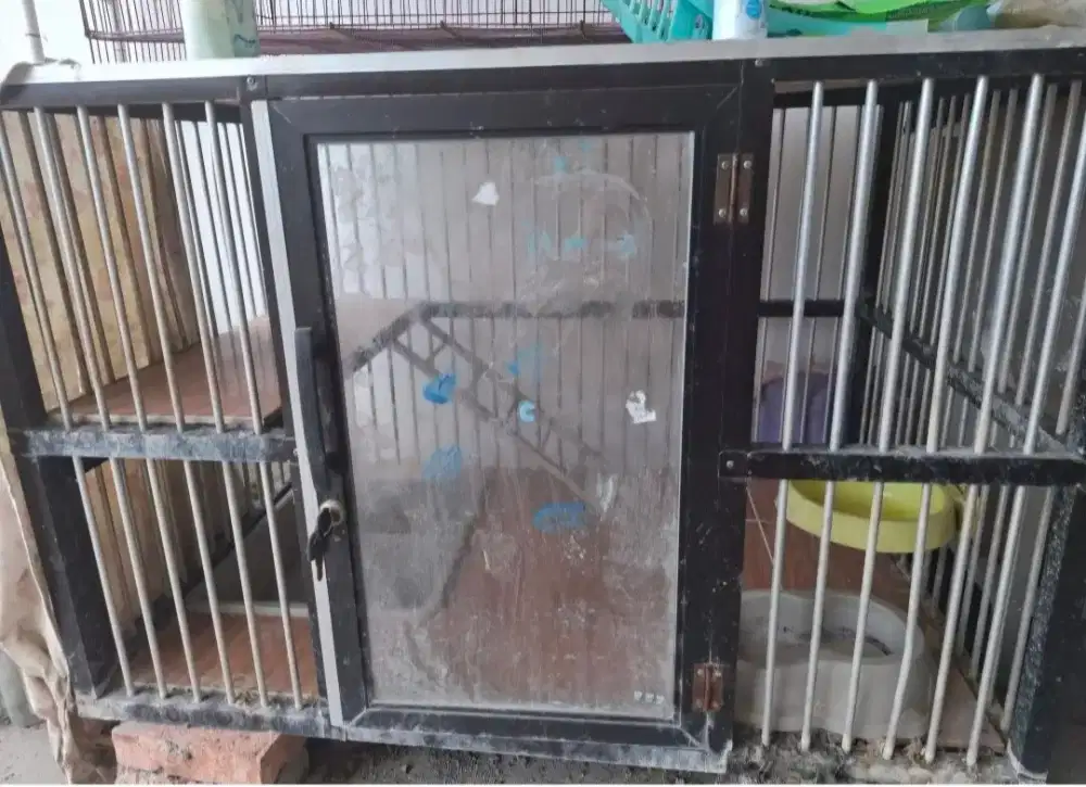 Kandang kucing tingkat