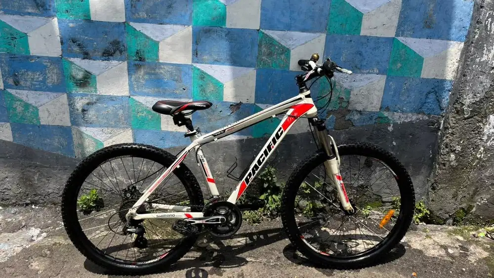 pacific 3.0 sepeda dewasa