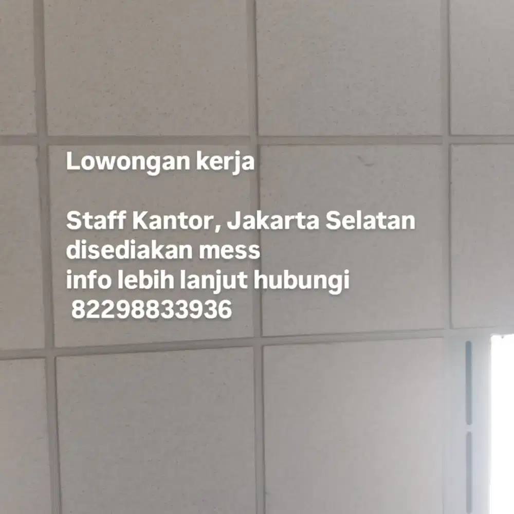 Dibutuhkan Staff Kantor
