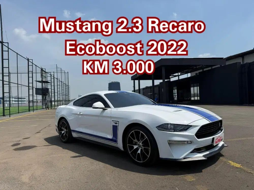 Ford Mustang 2.3 Recaro Ecoboost 2022 nik 2021