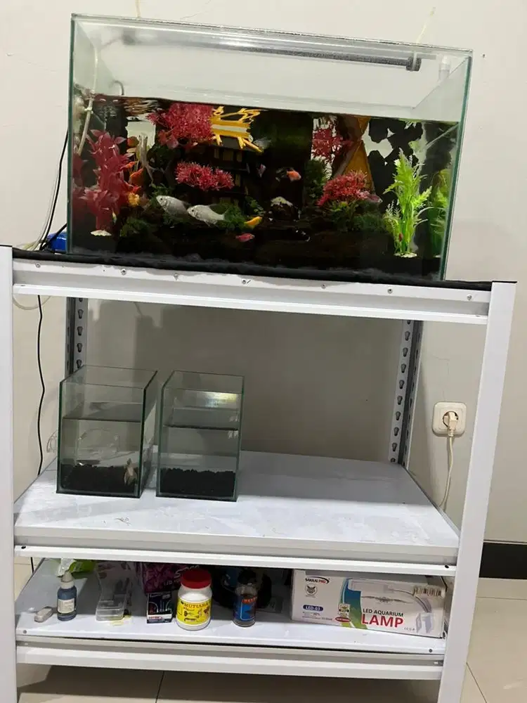 aquarium full set uk 60x30x35 + rak 70x40x80