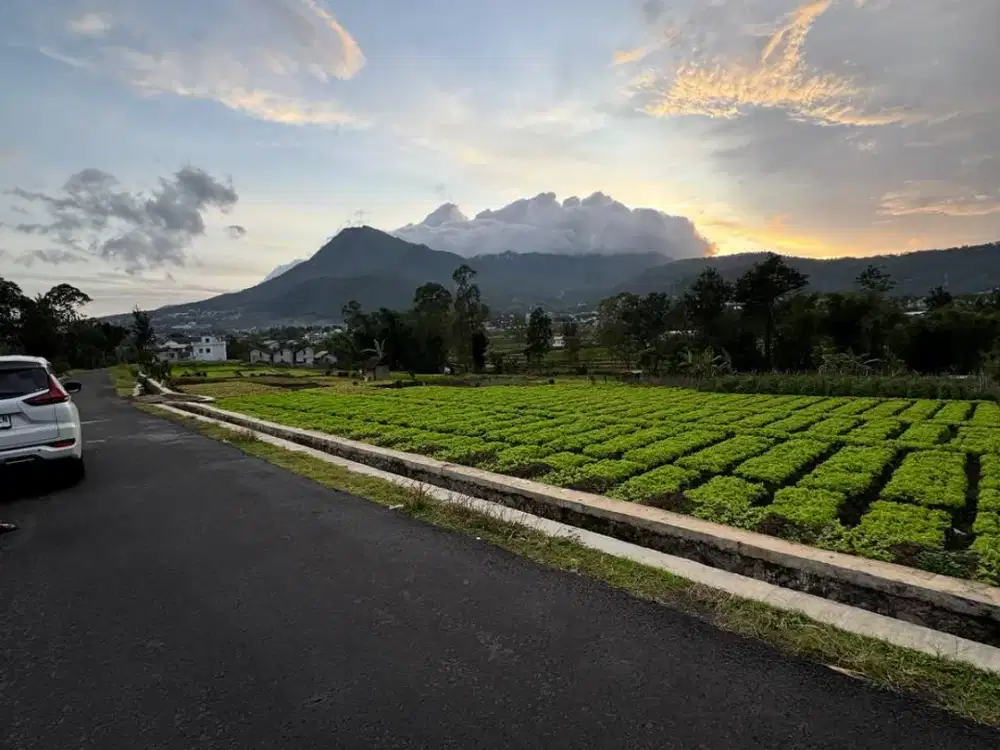 DIJUAL TANAH COCOK UNTUK VILLA CAFE LOKASI METRO KOTA BATU