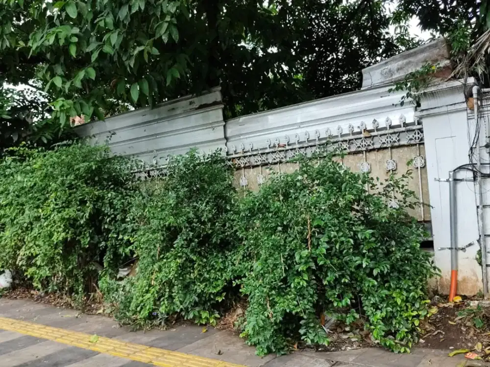 Disewakan Rumah Lama di Jl. Yusuf Adiwinata, Menteng - Jakarta Pusat (Cocok untuk Usaha/ Kantor)