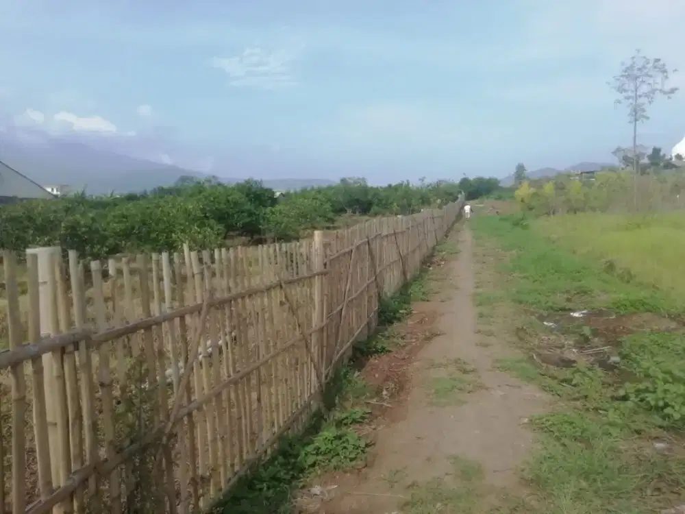 Tanah Darat Atau Kebun