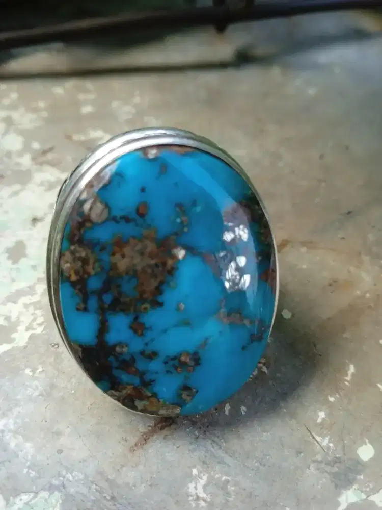 Pirus Persia biru batang perak