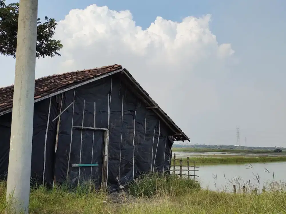 Tanah Buat Pergudangan Atau Pabrik