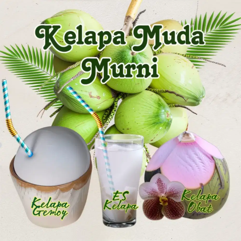 Kelapa Muda Murni